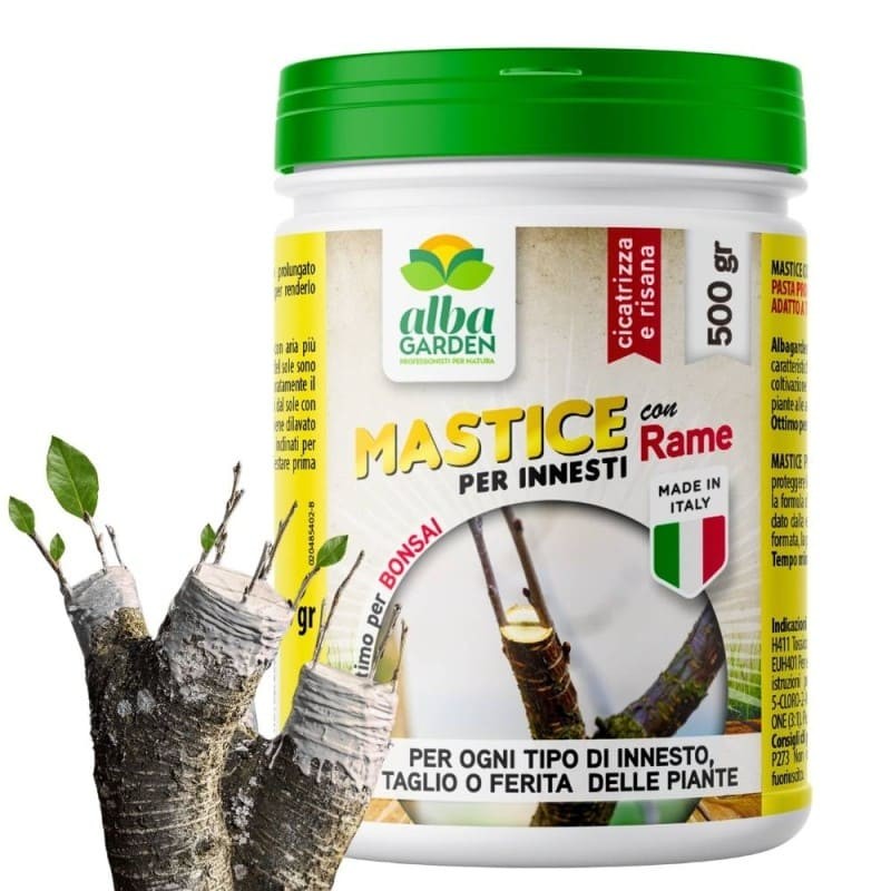 MASTICE PER INNESTI