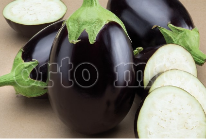 Melanzana Ovale nera Fantastic F1