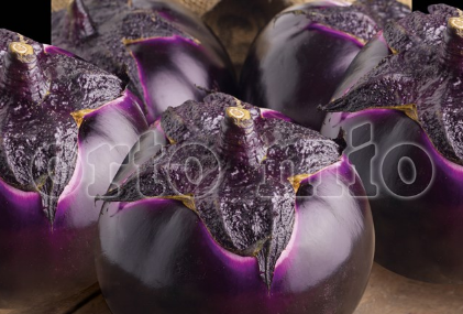 Melanzana Tonda viola Sabelle F1 Vaso 10