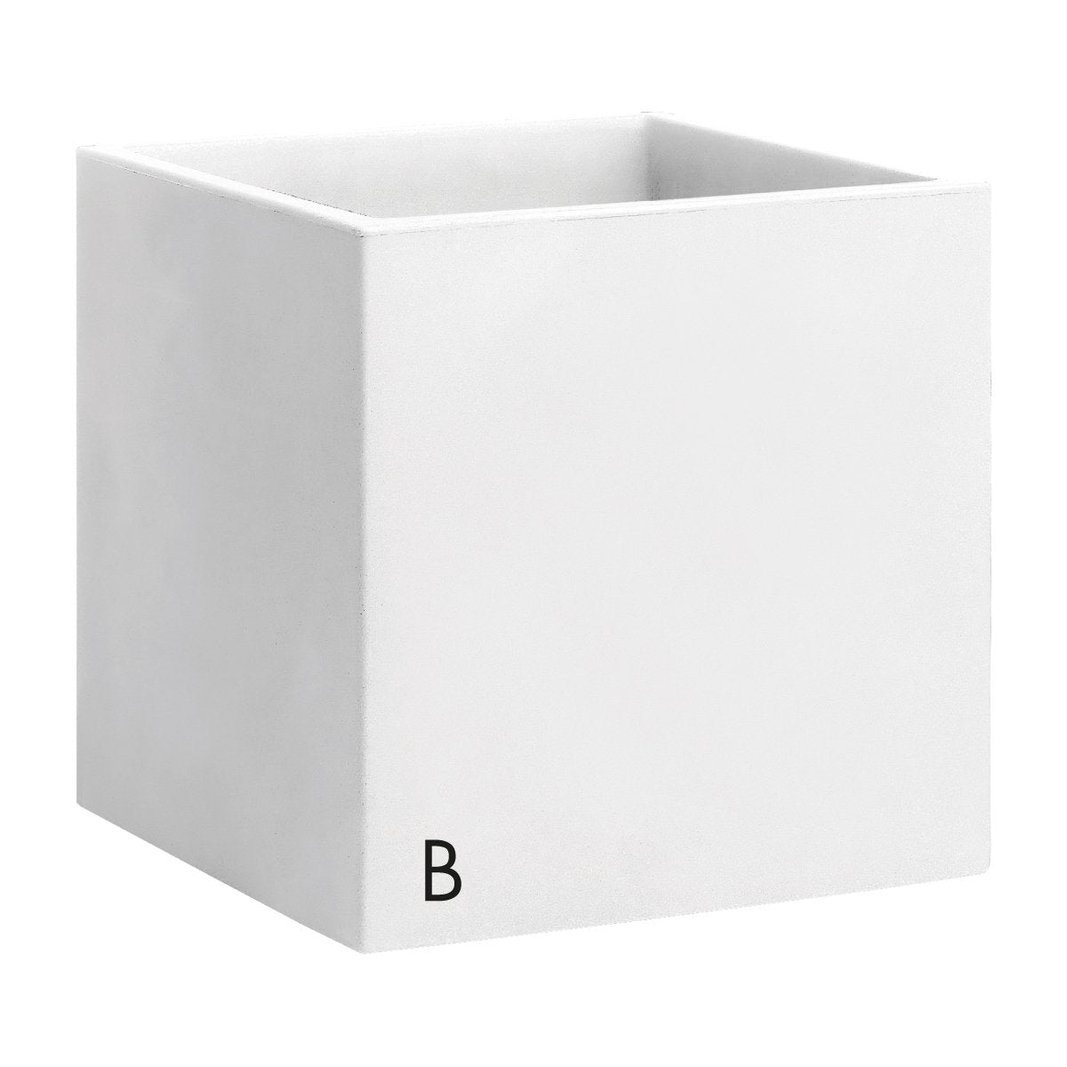 VASO MOMUS