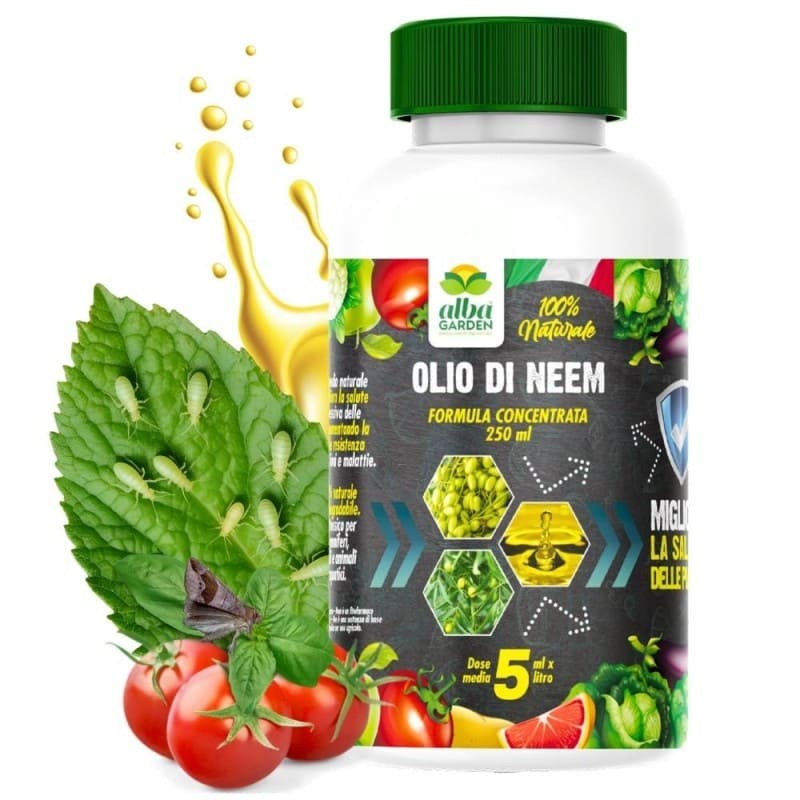 OLIO DI NEEM CONCENTRATO