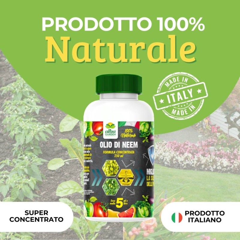 OLIO DI NEEM CONCENTRATO
