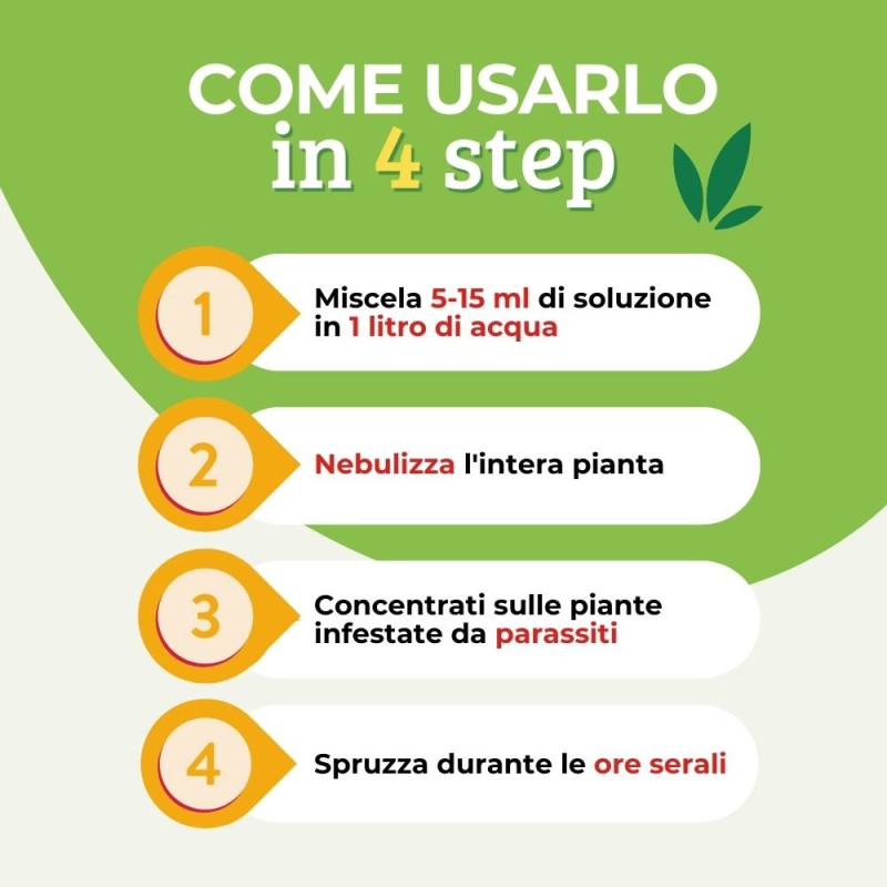 OLIO DI NEEM CONCENTRATO