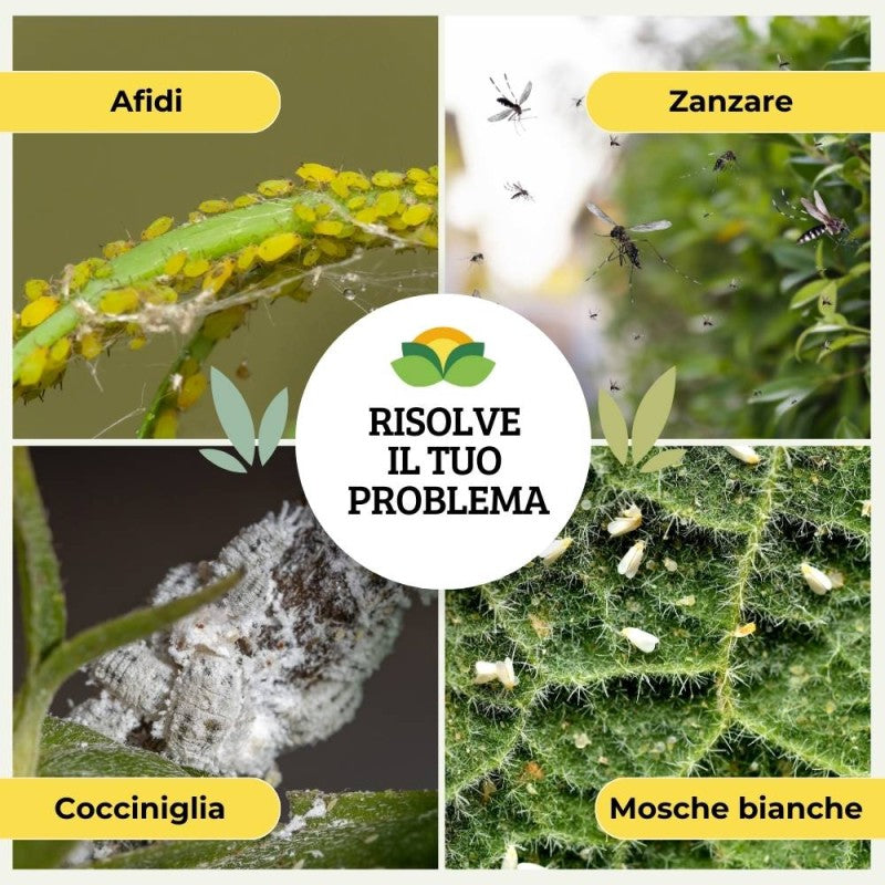 OLIO DI NEEM SPRAY