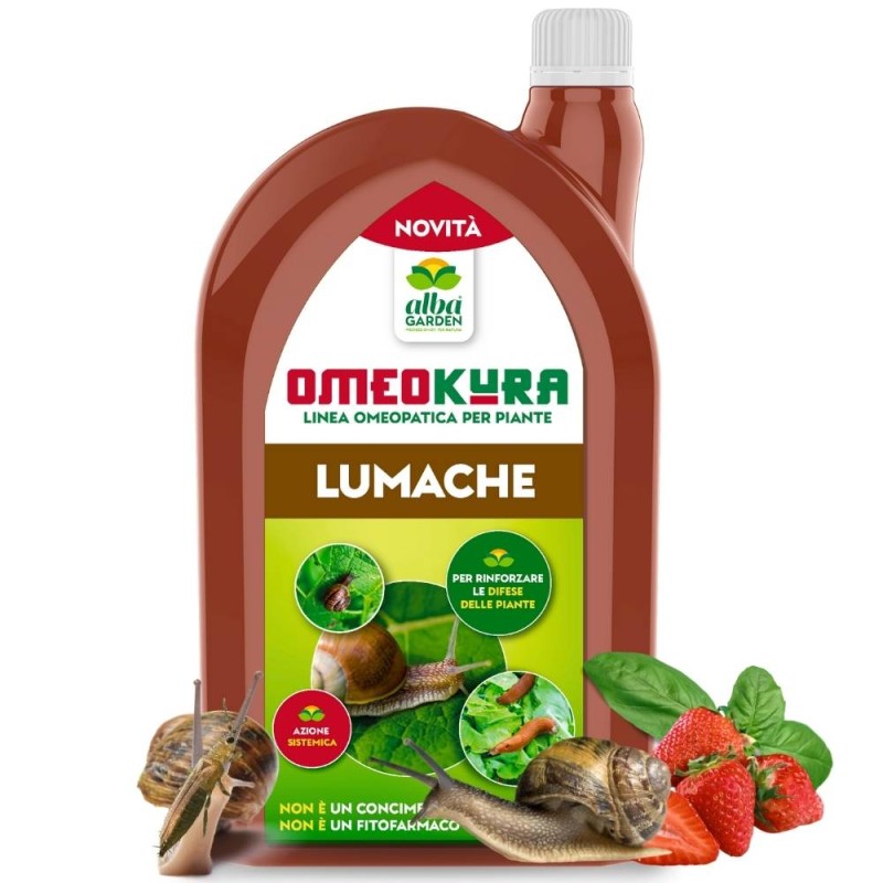 OMEOKURA LUMACHE