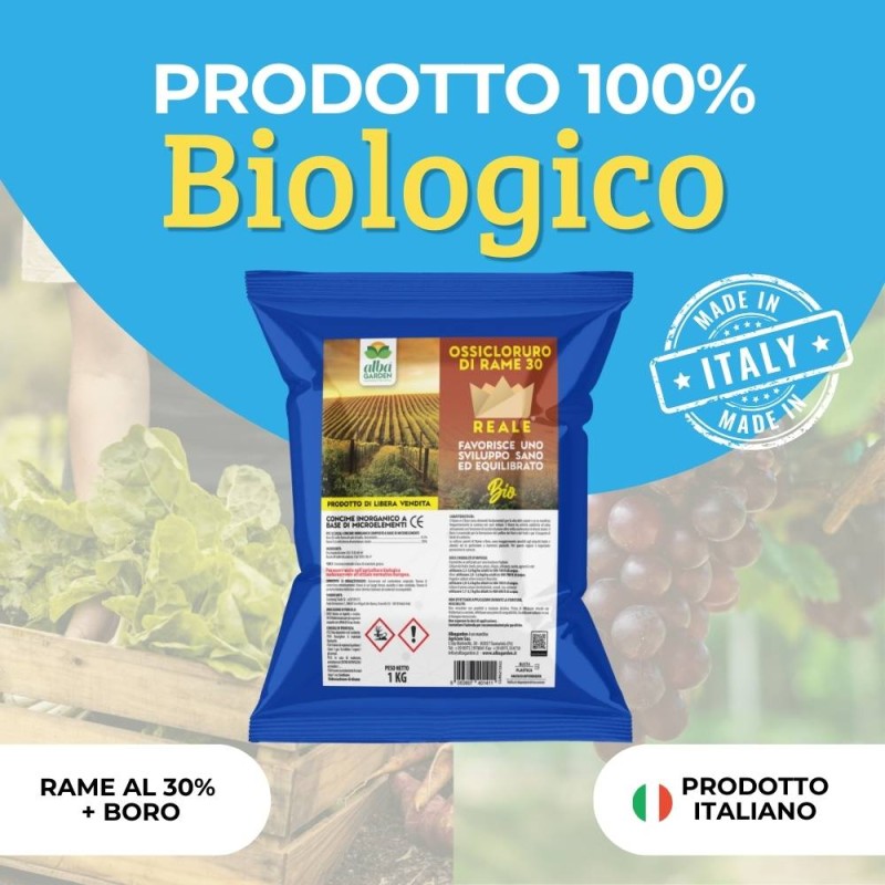 OSSICLORURO DI RAME REALE