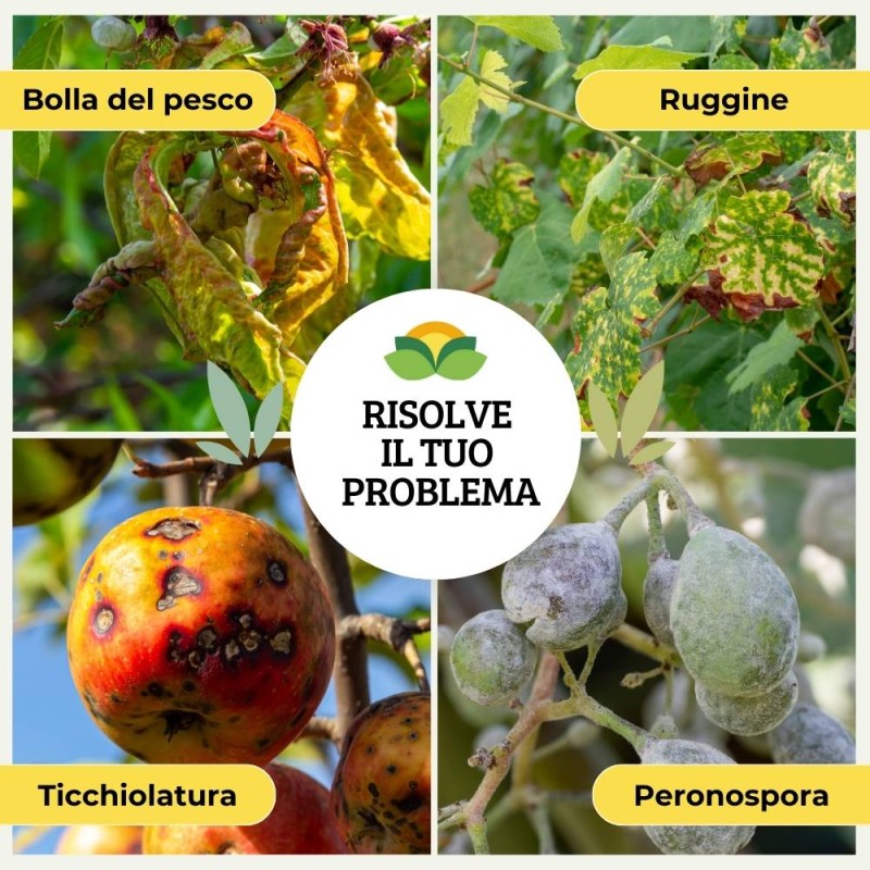 OSSICLORURO DI RAME REALE