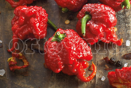 Peperoncino Piccante Carolina Reaper