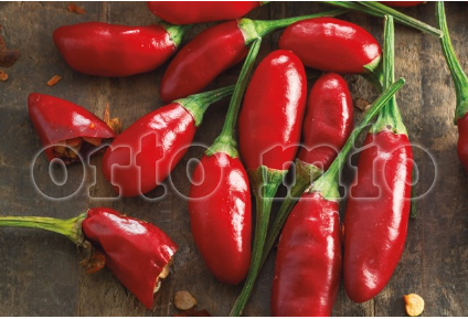 Peperoncino Piccante Diavolicchio Calabrese Italico F1