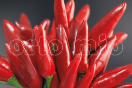 Peperoncino Piccante Rosso a mazzetti Etna