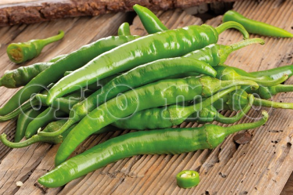 6 piante in pack Peperone Friggitello Napoletano "Del Fiume"
