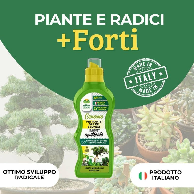 CONCIME PIANTE GRASSE