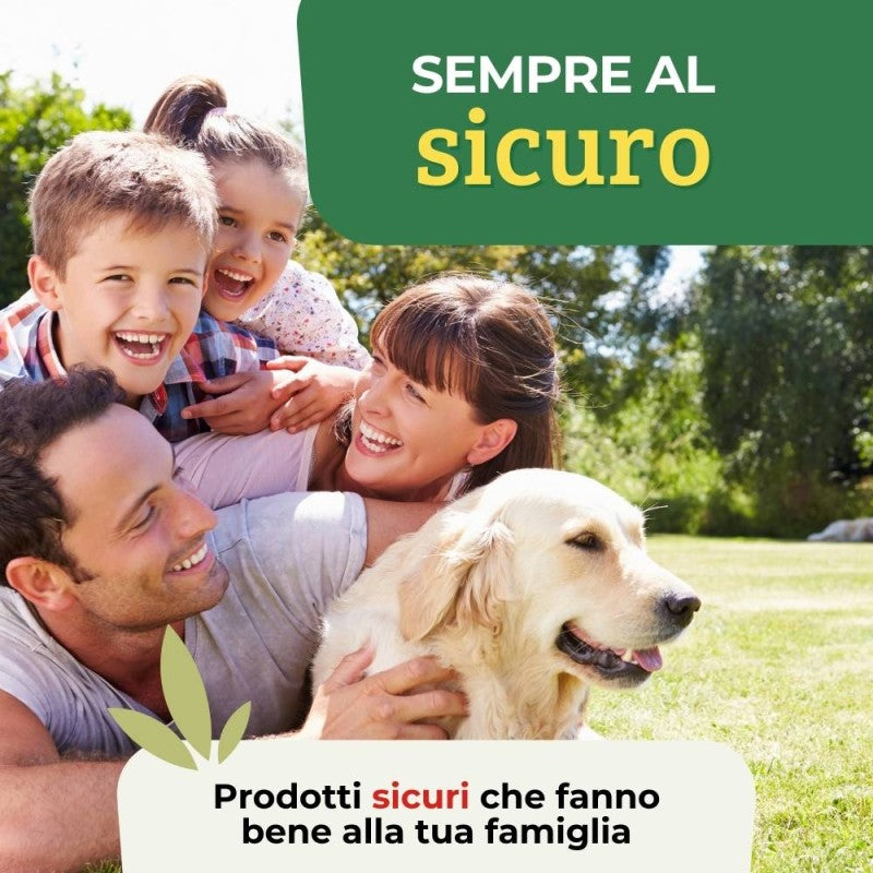 CONCIME PIANTE GRASSE