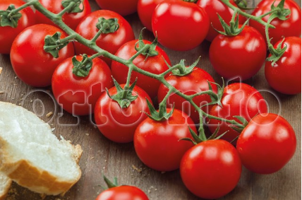 Pomodoro Ciliegino (da palo) Bingo F1
