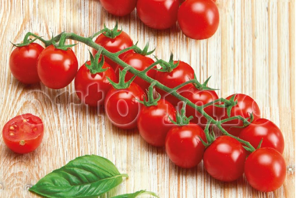 6 piante in pack Pomodoro Ciliegino (da palo) Spettacolo F1 (ex Paki)