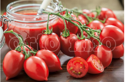 Pomodoro Vesuviano tipo Piccadilly (da palo) Fiaschetto Arnheo F1 Vaso 10