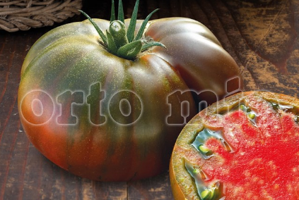 Pomodoro Antichi Sapori (da palo) Marmande Nero di Crimea Cappuccino F1 Vaso 10