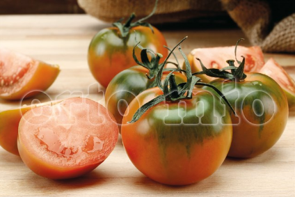 Pomodoro Specialità (da palo) Sardo Reginella F1 Vaso 10