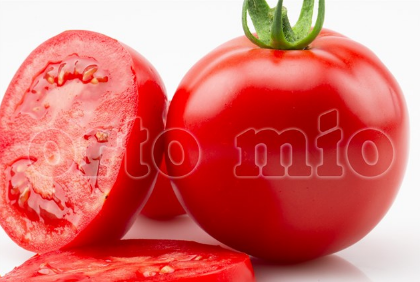 Pomodoro Tondo (da palo) Fantasio F1 Vaso 10