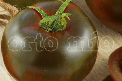 Pomodoro Tondo (da palo) Nero di Crimea Plutone F1 (sostituisce Kakao)
