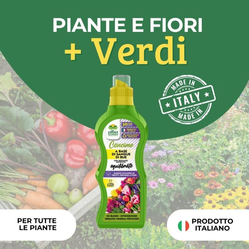 CONCIME SANGUE DI BUE