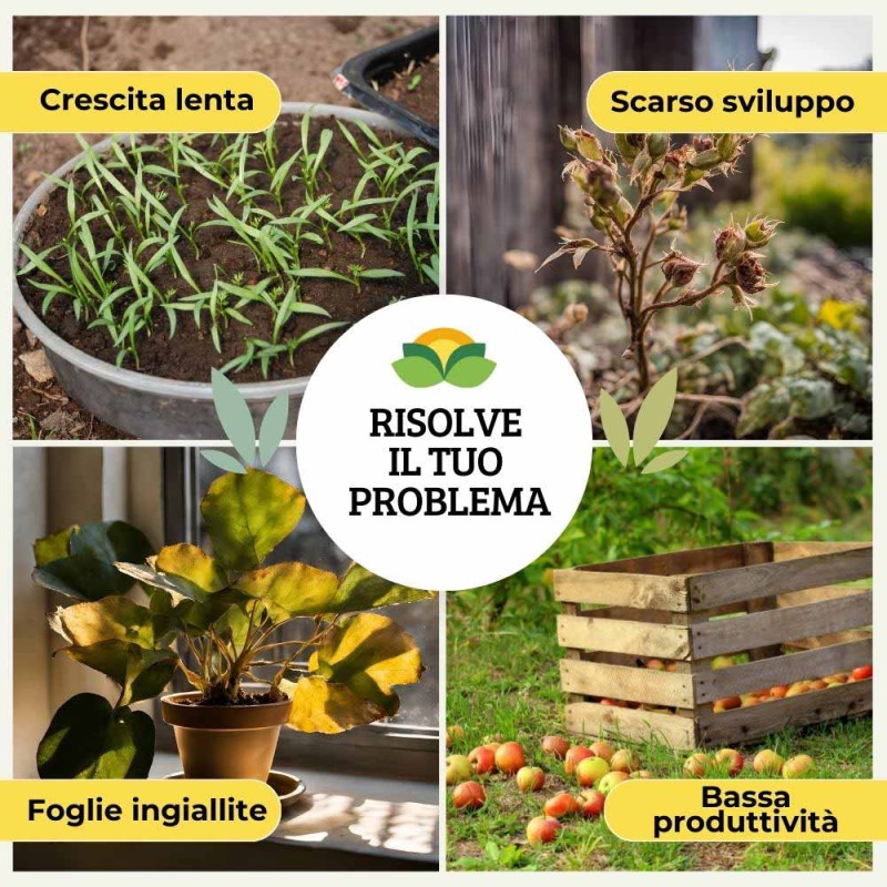 CONCIME GRANULARE UREA