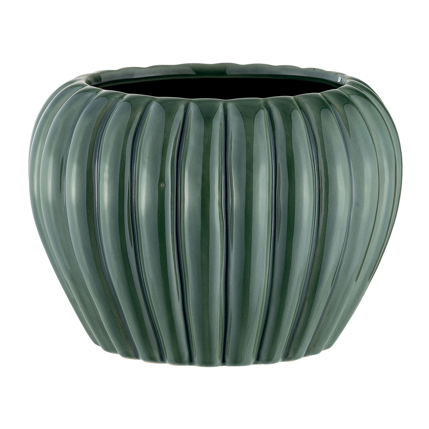VASO BICE