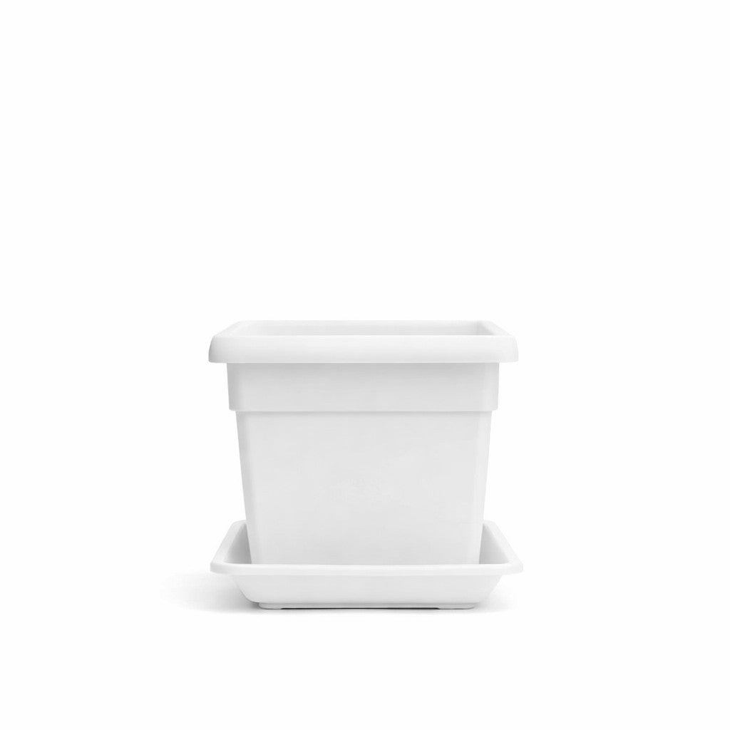 VASO E SOTTOVASO QUADRO