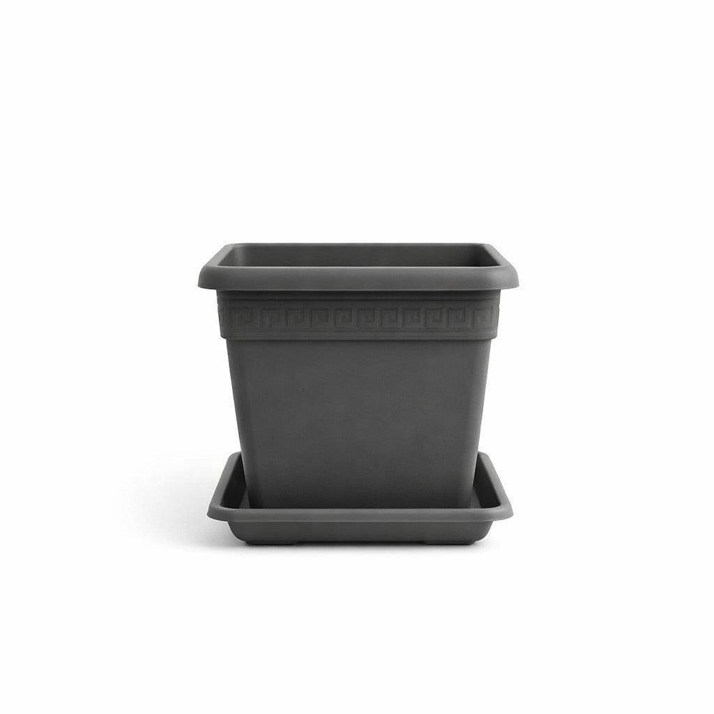 VASO E SOTTOVASO QUADRO