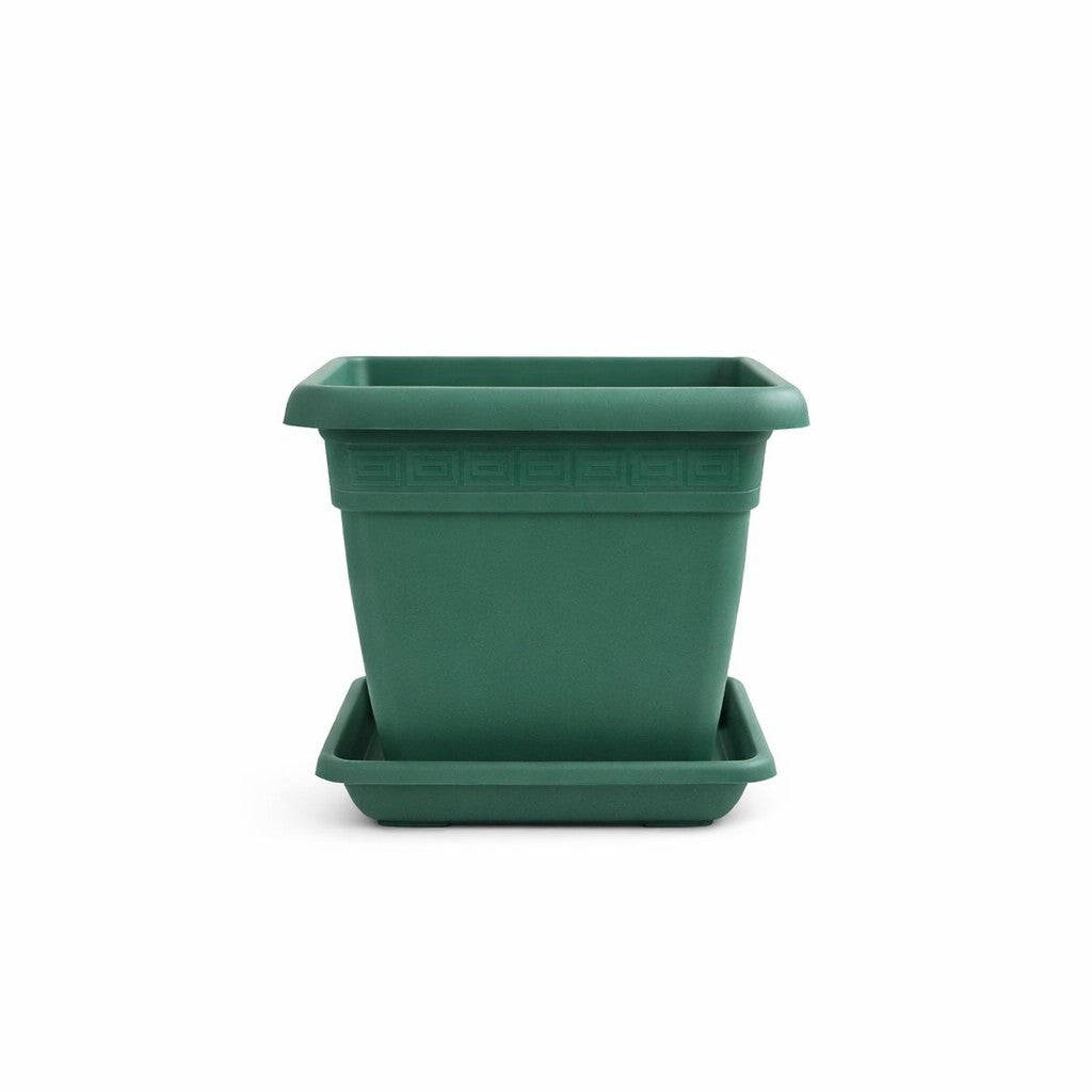 VASO E SOTTOVASO QUADRO