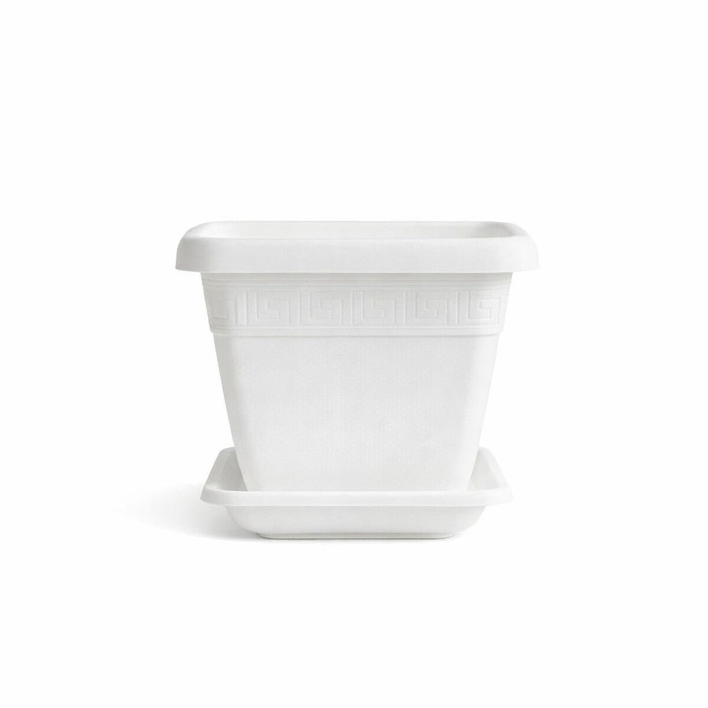 VASO E SOTTOVASO QUADRO