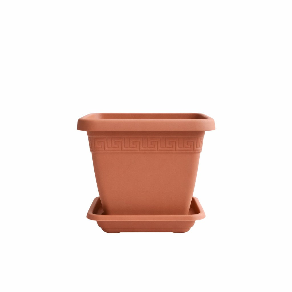 VASO E SOTTOVASO QUADRO