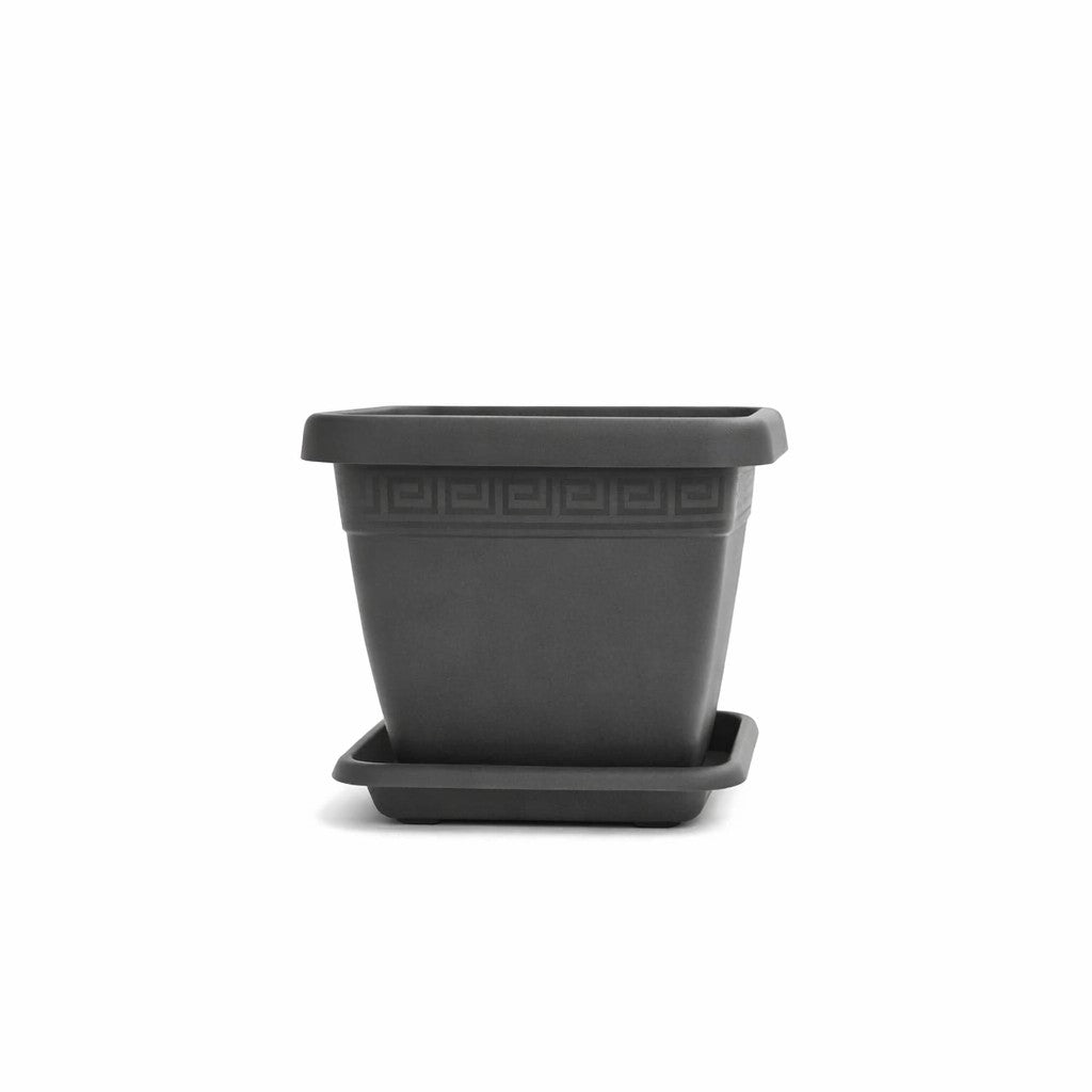 VASO E SOTTOVASO QUADRO