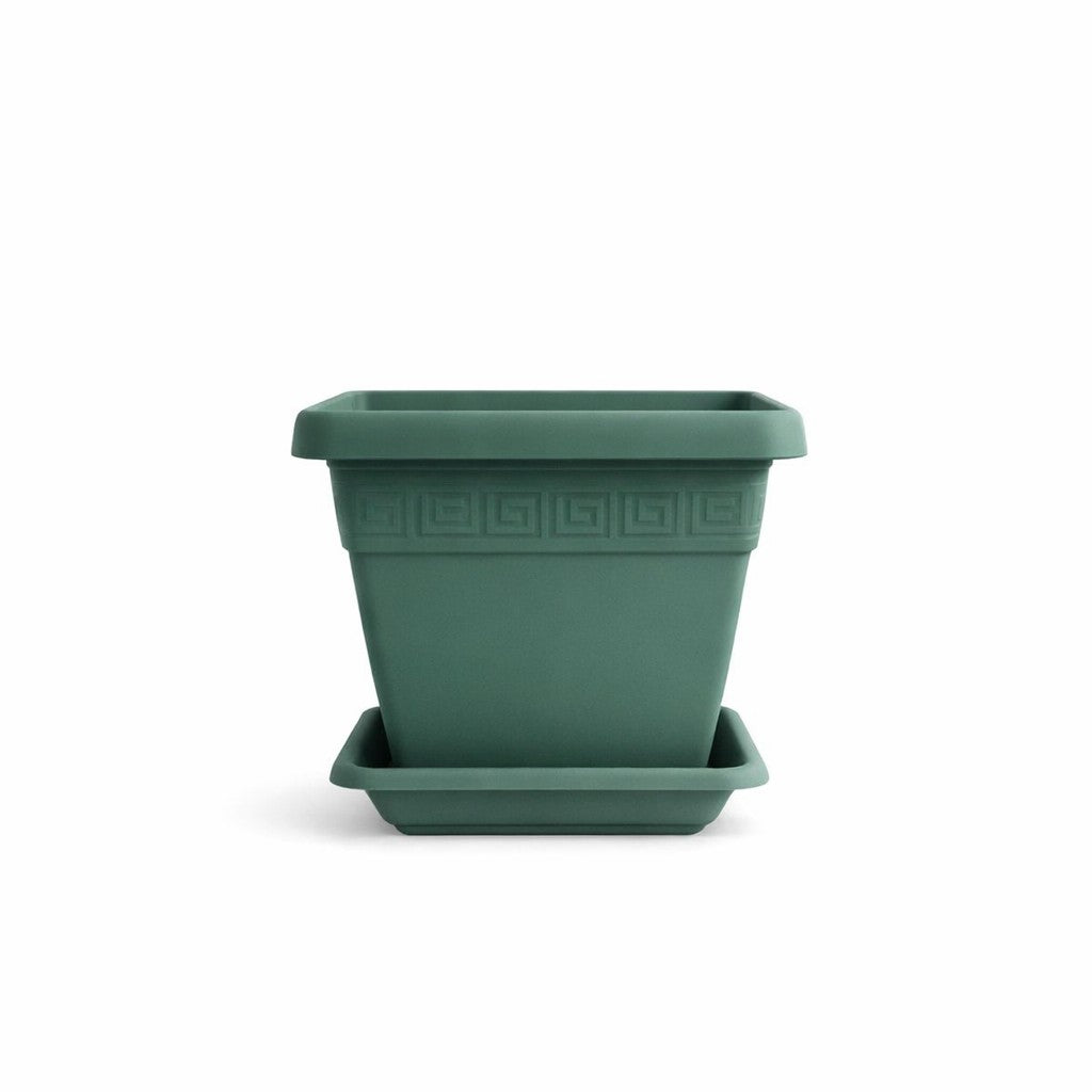 VASO E SOTTOVASO QUADRO