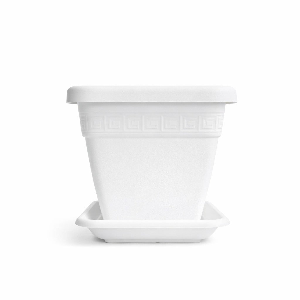 VASO E SOTTOVASO QUADRO