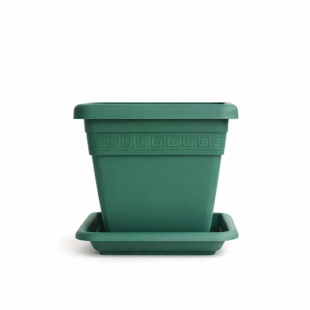 VASO E SOTTOVASO QUADRO